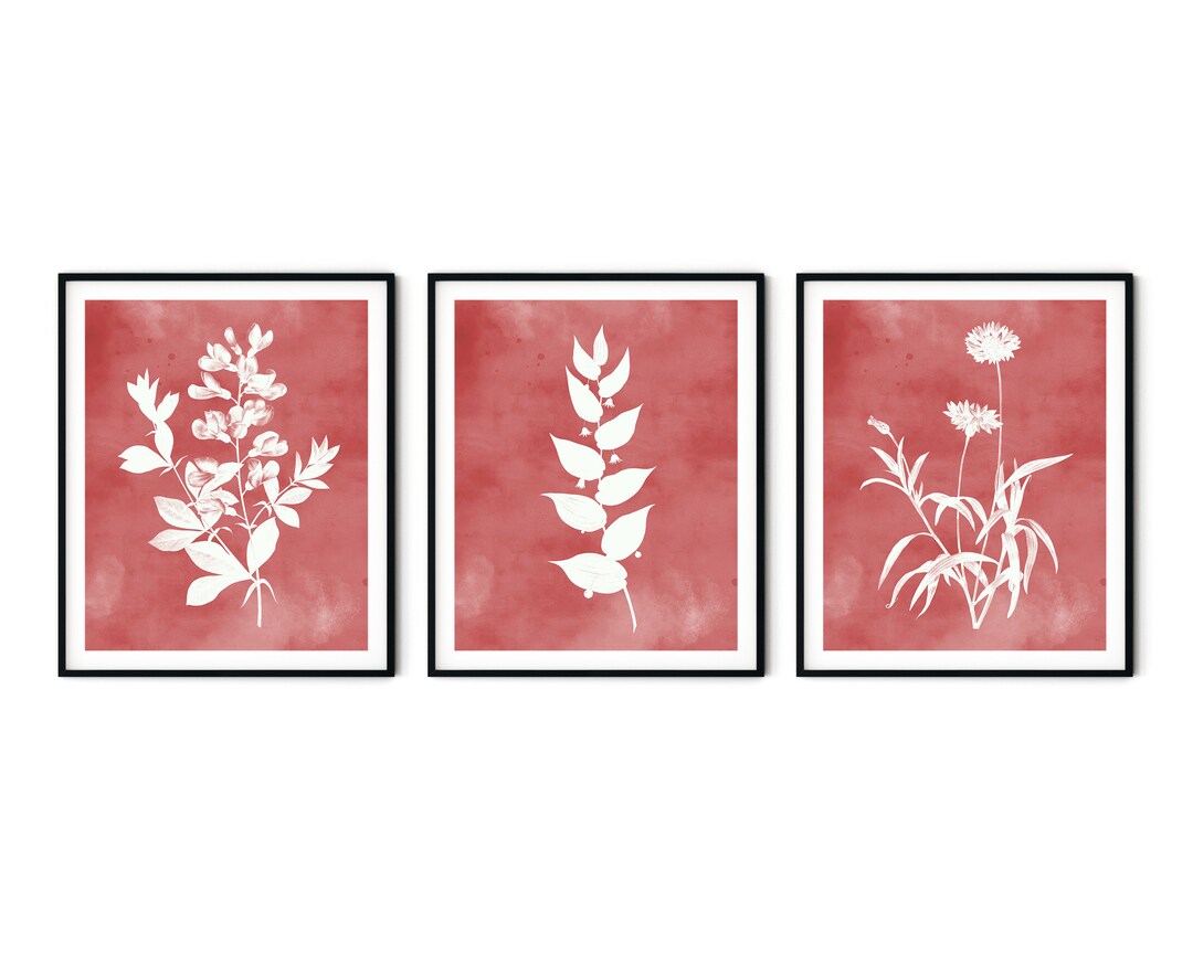 Blush Watercolor Flower Print Set of 3 - Flower Wall Art, Botanical ...