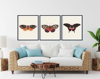Conjunto de impresiones de mariposas vintage: Arte mural de la galería de historia natural