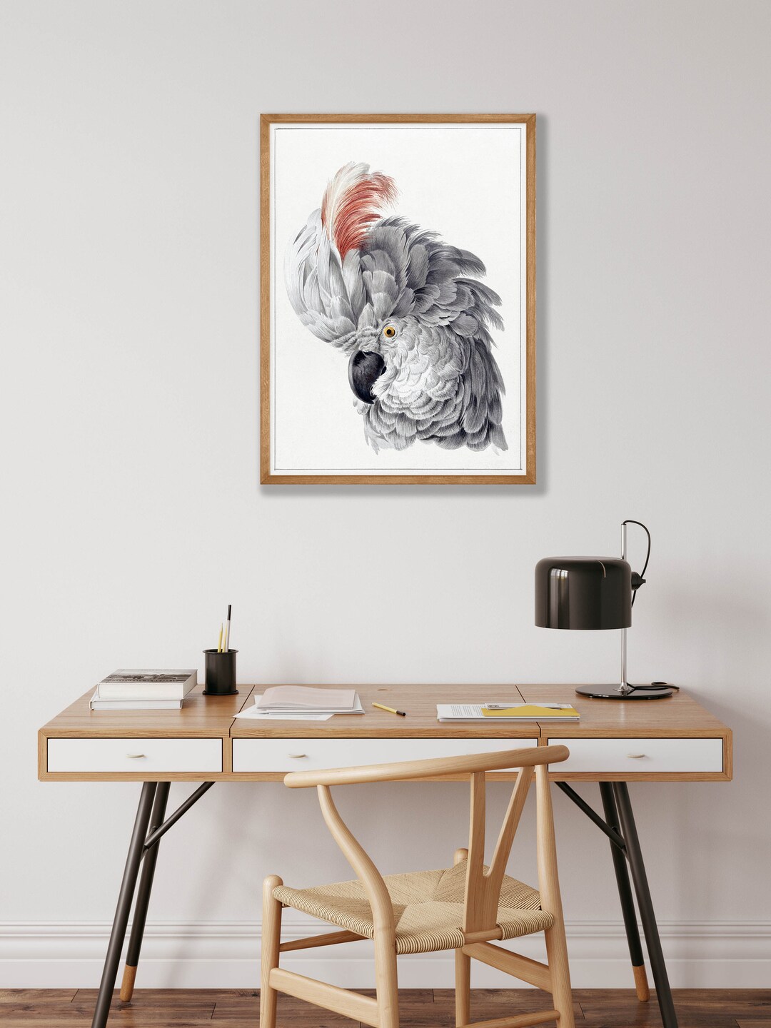 Cockatoo Head Art Print - Vintage Bird Wall Decor, Aert Schouman Poster ...