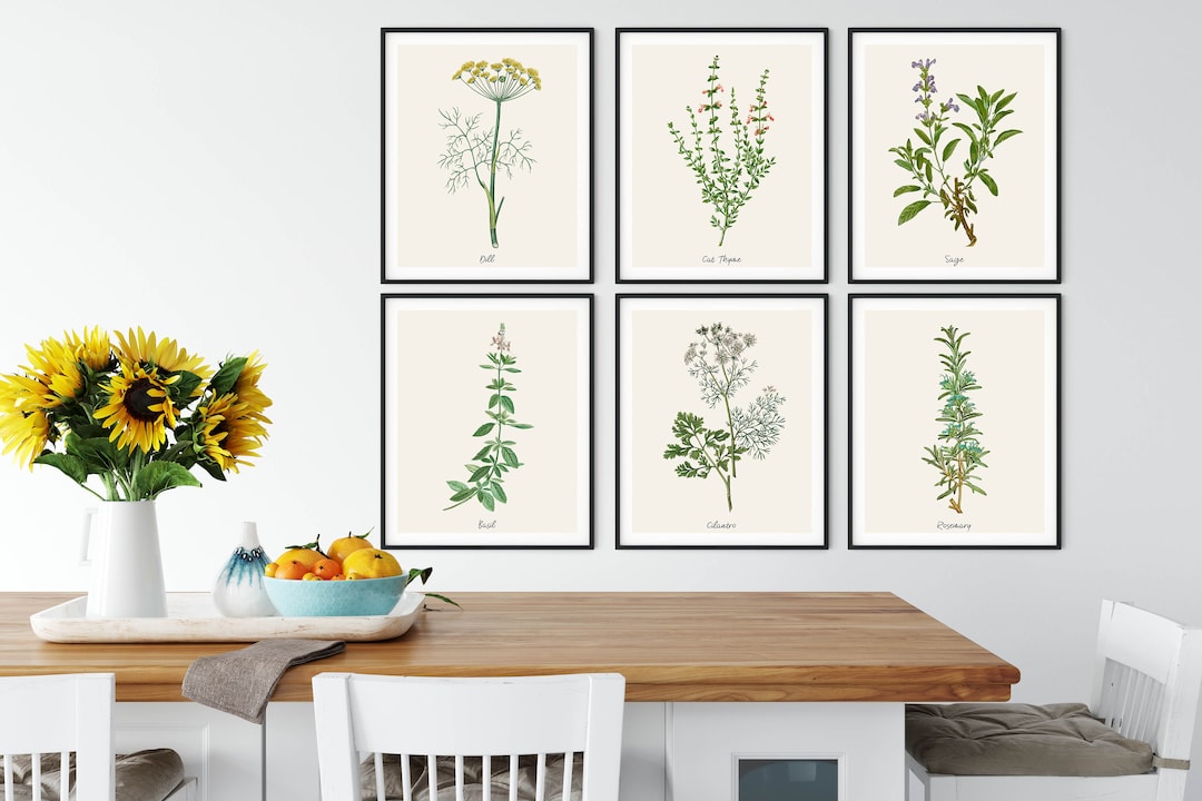 Vintage Herb Botanical Prints: Kitchen Wall Art Set of 6 - Etsy