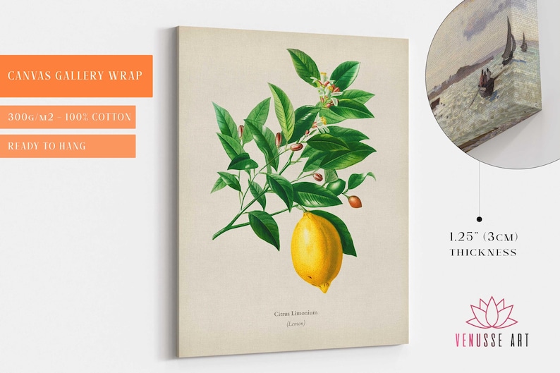 May include: A vintage botanical illustration of a lemon tree branch with green leaves and a single ripe yellow lemon. The text "Citrus Limonum (Lemon)" is printed below the image.