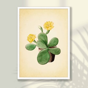 Vintage Kaktus Druck No2 - Kaktus Wandkunst, Kaktus Poster, Kaktus Dekor, Küche Wandkunst, Sukkulenten Druck, Sukkulenten Poster, Bauernhaus Dekor