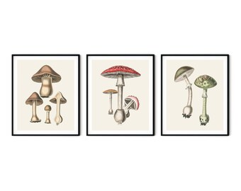 Mushroom Prints Set of 3 - Kitchen Art, Vintage Mushroom Art, Botanical Prints, Kitchen Prints, Mushroom Wall Decor, Kitchen Decor Ideas