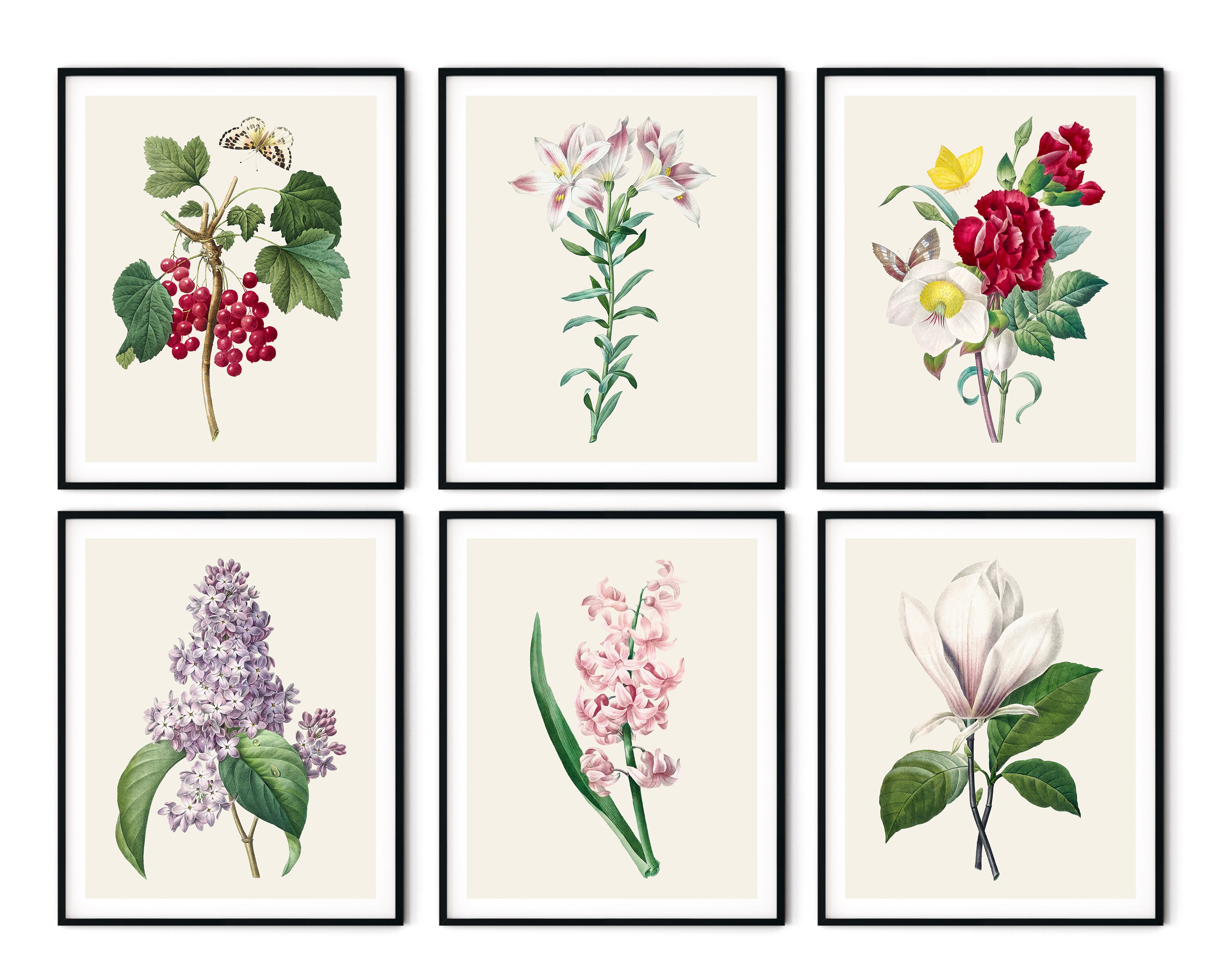 Botanical Prints Set: Restored Vintage Floral Wall Art - Etsy