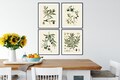 Vintage Olive Botanical Prints Set of 4: French Kitchen Wall Art