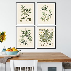May include: Four framed botanical prints depicting olive branches with green leaves and black olives. The prints are on a cream background. The artwork is displayed above a wooden table with a vase of sunflowers.