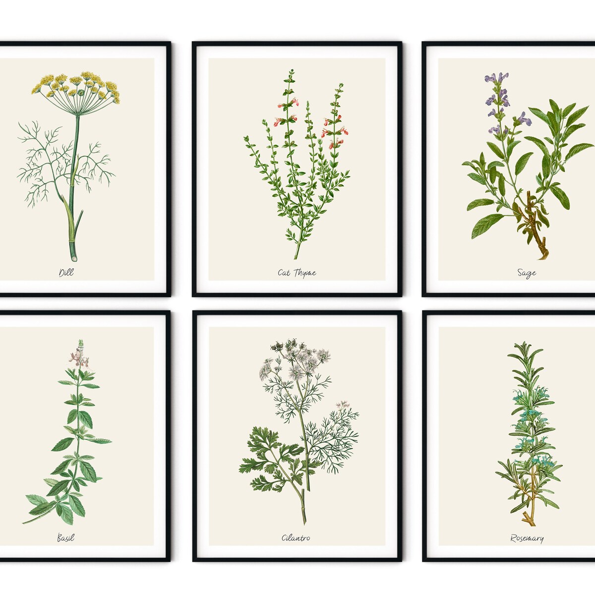 Vintage Kitchen Herbs Prints Set of 6 Botanical Art Print Set, Herb Wall Art, Kitchen Art Prints, Herb Decor, Farmhouse Kitchen Decor - Etsy