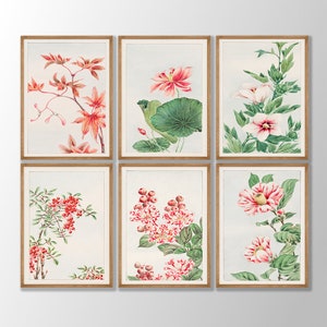 Japanese Flower Prints Set of 6 - Japanese Flower Poster, Japanese Art, Pink Botanical Print, Kitchen Print, Flower Art, Farmhouse Decor