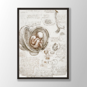 Leonardo Da Vinci Kunstdruck - Fötus im Mutterleib 1510, Anatomie des Menschen, Da Vinci Drucke, Da Vinci Wandkunst, Medizinisches Dekor, Moderne Kunst für Zuhause