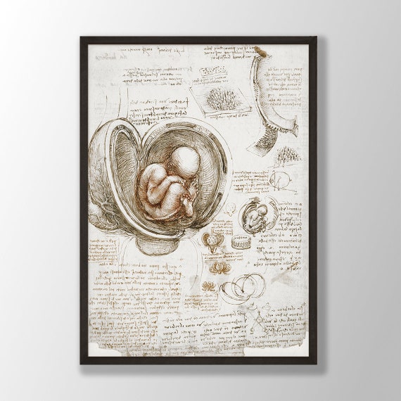 アート・デザイン・音楽 LEONARDO DA VINCI 1635 ILLUSTRATIONS s-l400.jpg