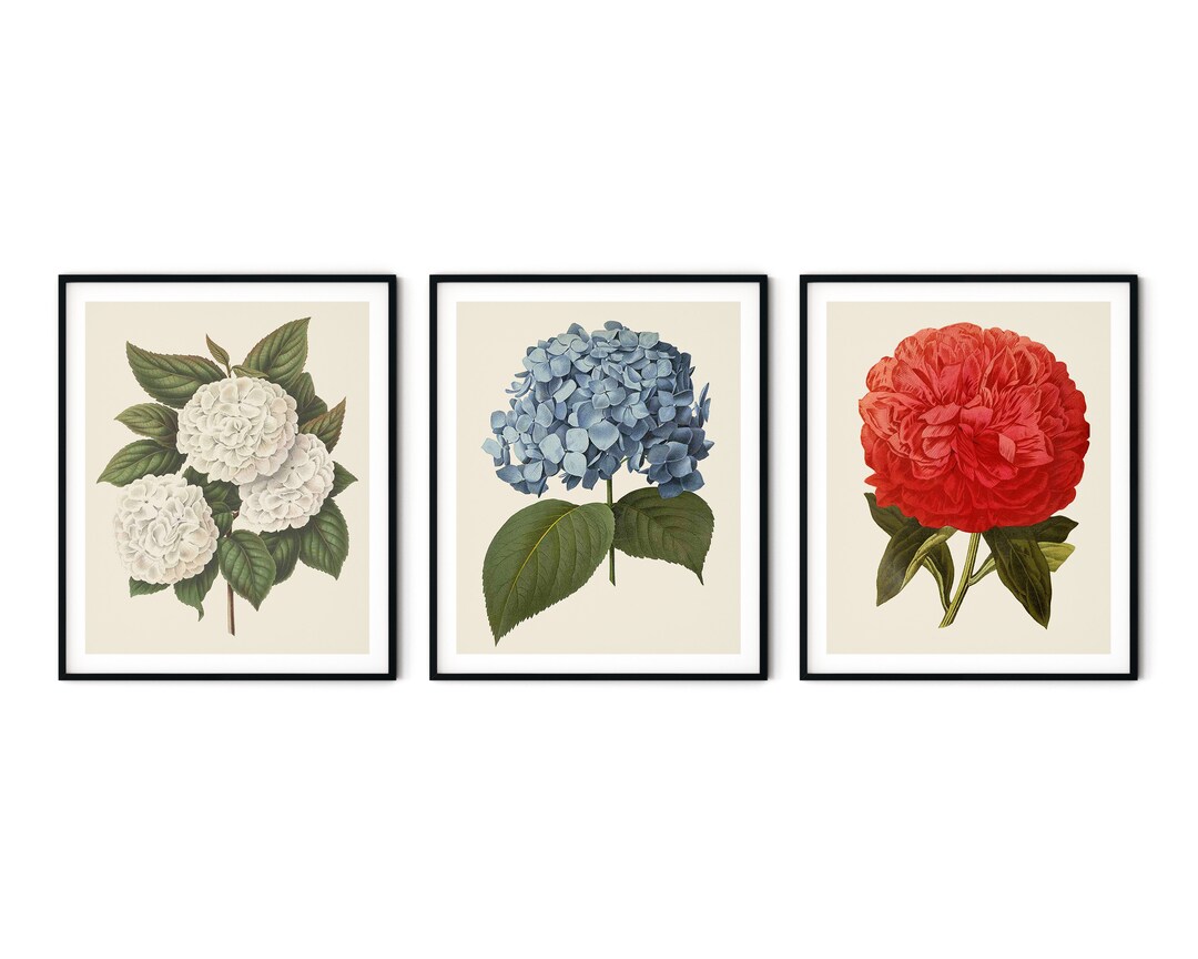 Botanical Prints Set of 3 - Farmhouse Wall Art, Botanical Art, Kitchen ...