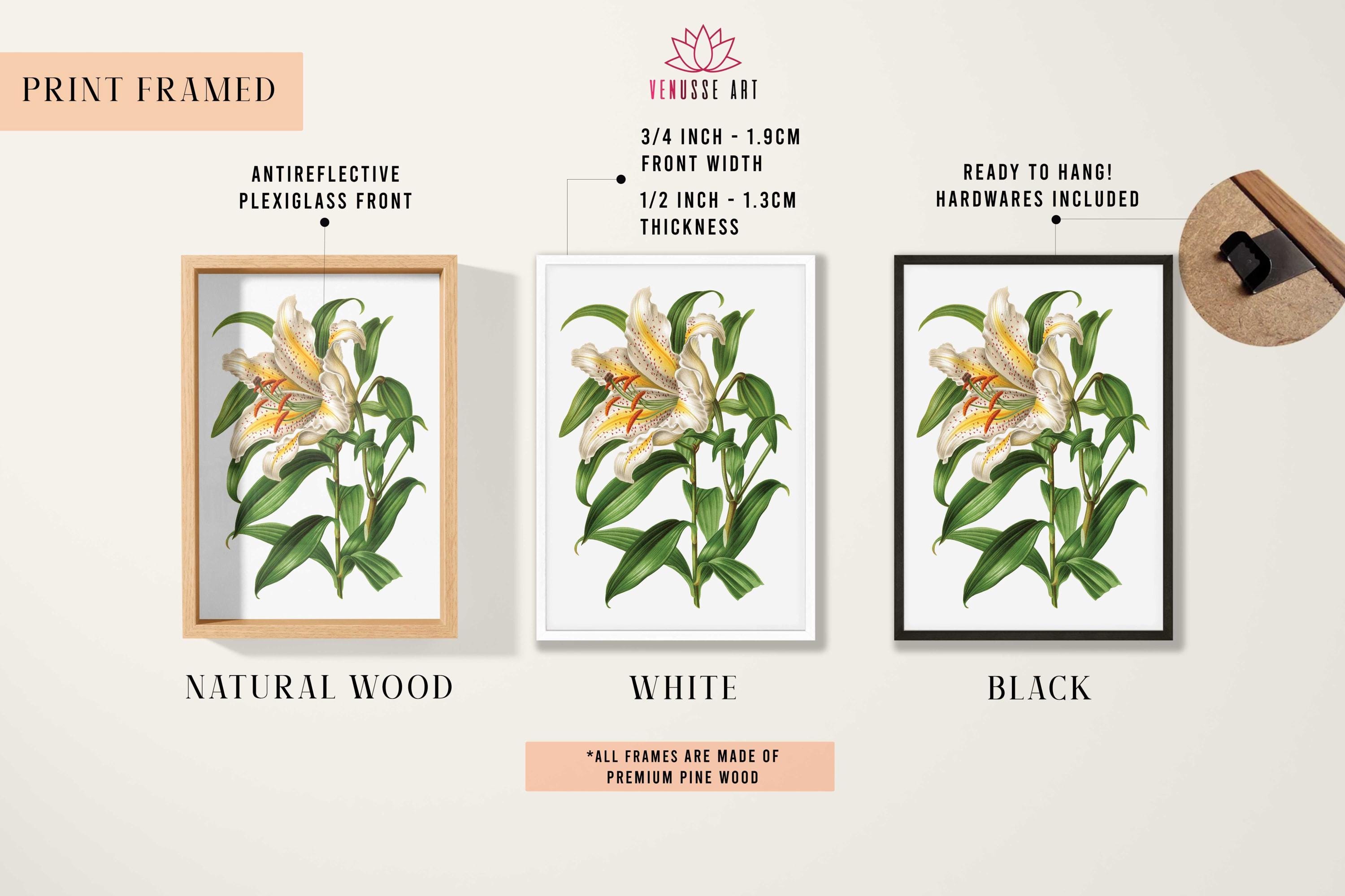 White Lily Flower Poster - Vintage Botanical Print, Farmhouse Wall Art ...