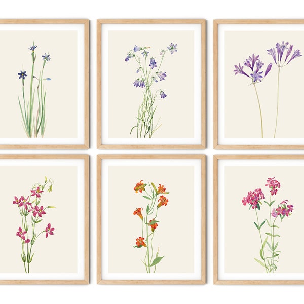 Lot de 6 impression fleurs sauvages - art mural fleurs sauvages, estampes botaniques, art mural cuisine, art de la ferme, art fleurs sauvages, décoration cuisine