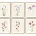 see more listings in the Flower Prints section