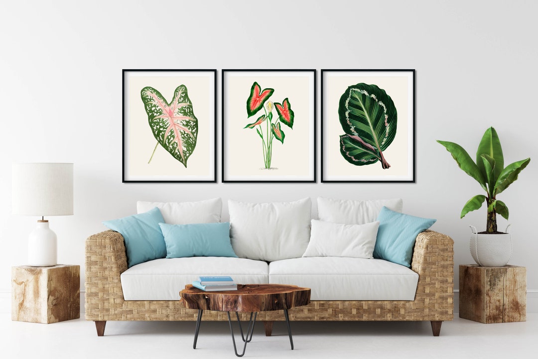 Tropical Leaf Prints Set of 3 - Vintage Botanical Art - Etsy