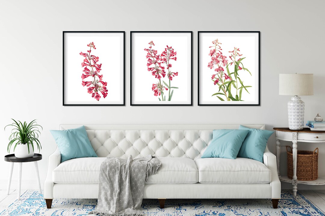 Pink Flower Botanical Print Set of 3: Restored Vintage Art - Etsy