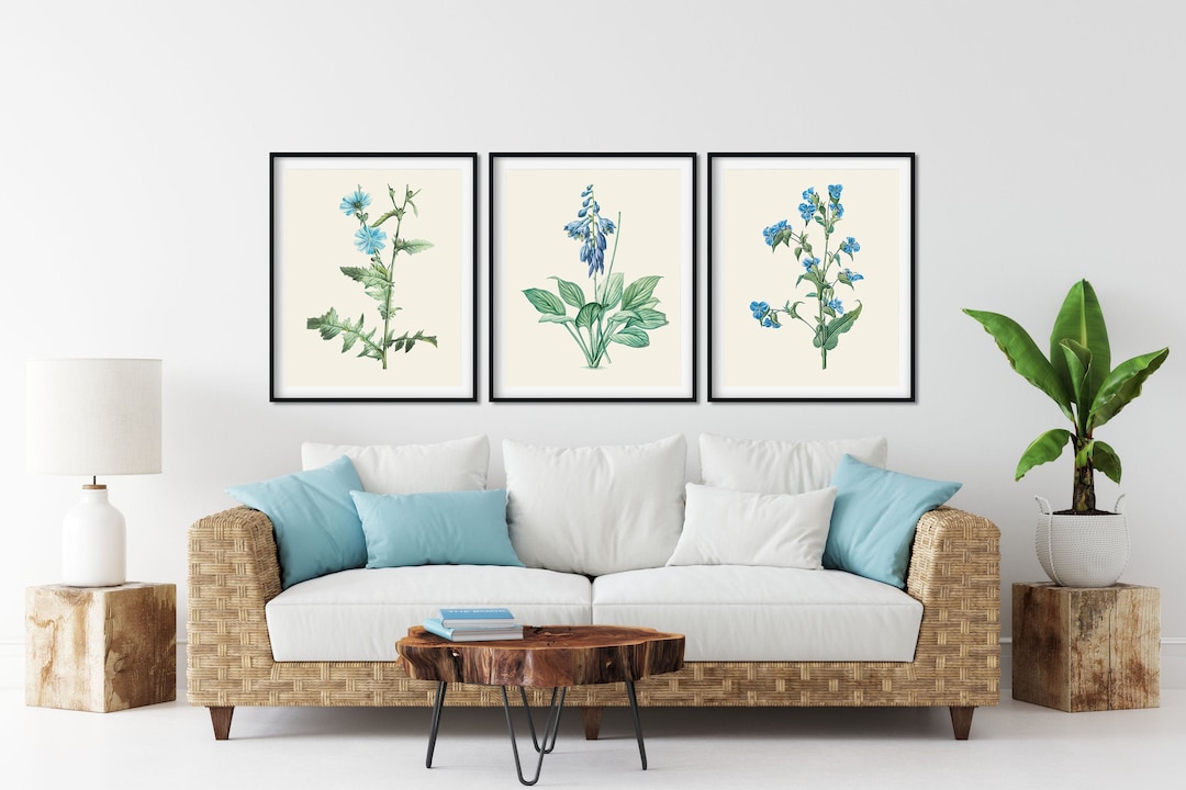 Blue Flower Botanical Print Set of 3 - Flower Wall Art, Kitchen Wall ...