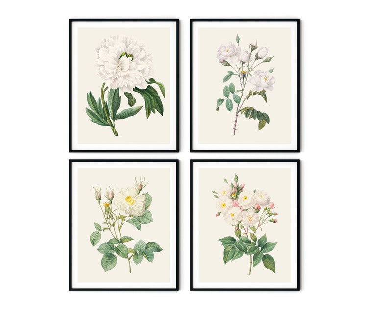 May include: Set of four botanical prints featuring white flowers with green leaves. The prints are framed in black frames and have a cream background.