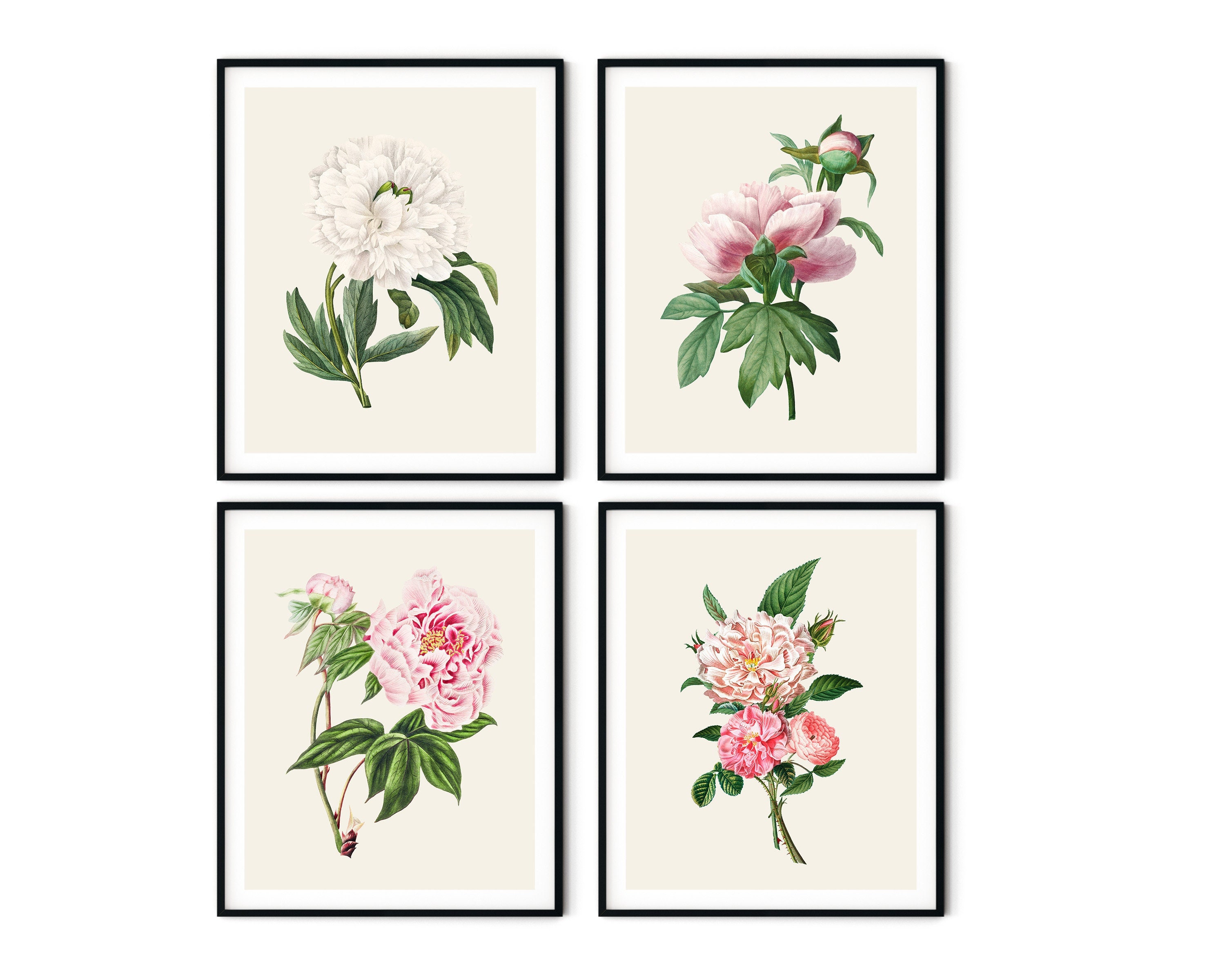 Botanical Print Set Peony Wall Art Kitchen Prints Botanical Decor Peony ...