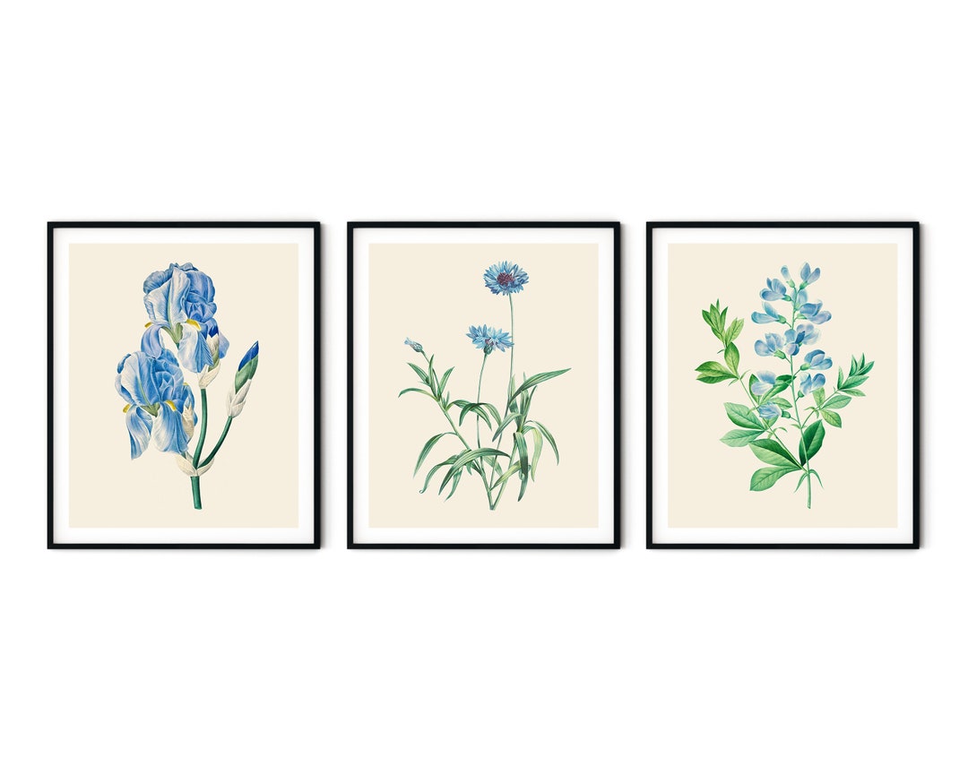 Blue Botanical Print Set of 3 No.2 - Blue Flower Prints, Kitchen Wall ...