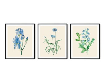 Blue Botanical Print Set of 3 No.2 - Blue Flower Prints, Kitchen Wall Decor, Redoute Botanical Prints, Farmhouse Art, Botanical Art Prints