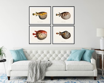 Vintage Balloon Fish Prints Set of 4 - Coastal Nautical Art