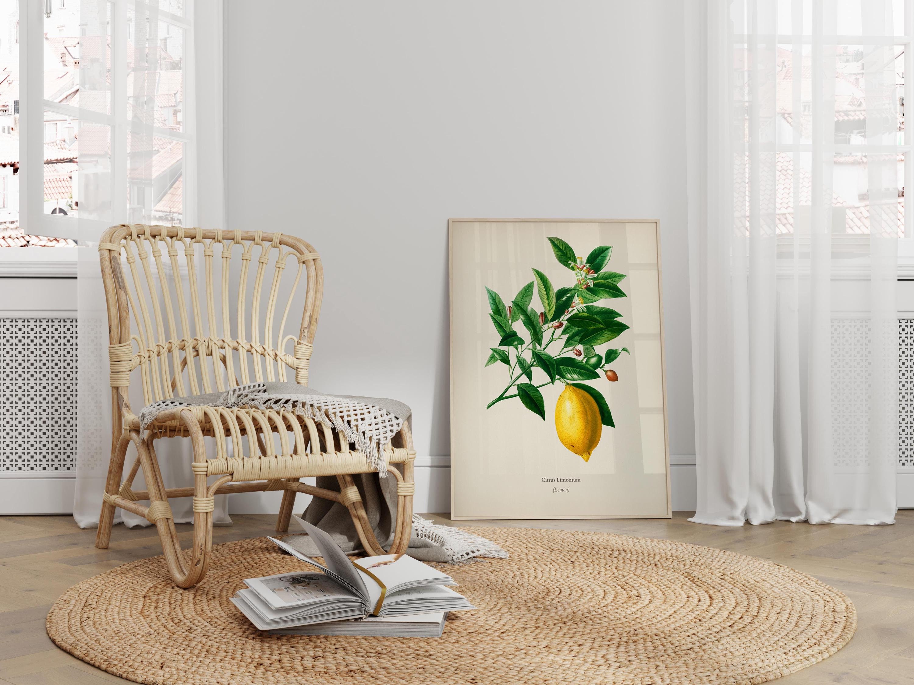 Vintage Lemon Botanical Print - Kitchen Wall Art (frame & Canvas ...