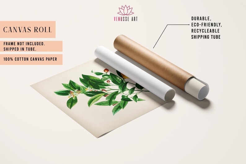 May include: A rolled canvas print of a vintage botanical illustration featuring a green plant with red berries and yellow flowers. The print is rolled up in a brown and white cardboard tube. The text "CANVAS ROLL" is visible at the top of the image. The text "FRAME NOT INCLUDED. SHIPPED IN TUBE. 100% COTTON CANVAS PAPER" is also visible.