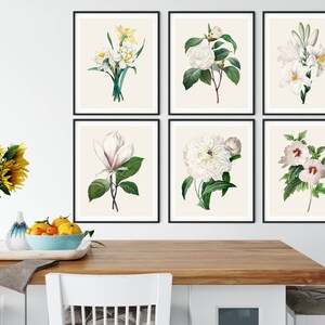 May include: Six black framed prints of white flowers on a cream background. The flowers include a magnolia, a camellia, a lily, a daffodil, a peony, and a hibiscus.