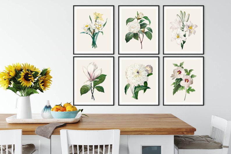 May include: Six black framed prints of white flowers on a cream background. The flowers include a magnolia, a camellia, a lily, a daffodil, a peony, and a hibiscus.