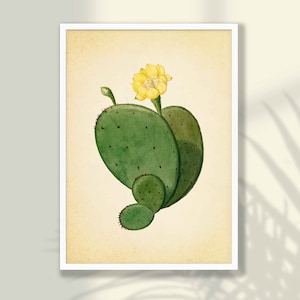 Vintage Kaktus Print - Kaktus Wandkunst, Kaktus Poster, Kaktus Dekor, Küche Wandkunst, Sukkulenten Drucke, Sukkulenten Poster, Bauernhaus Wandkunst