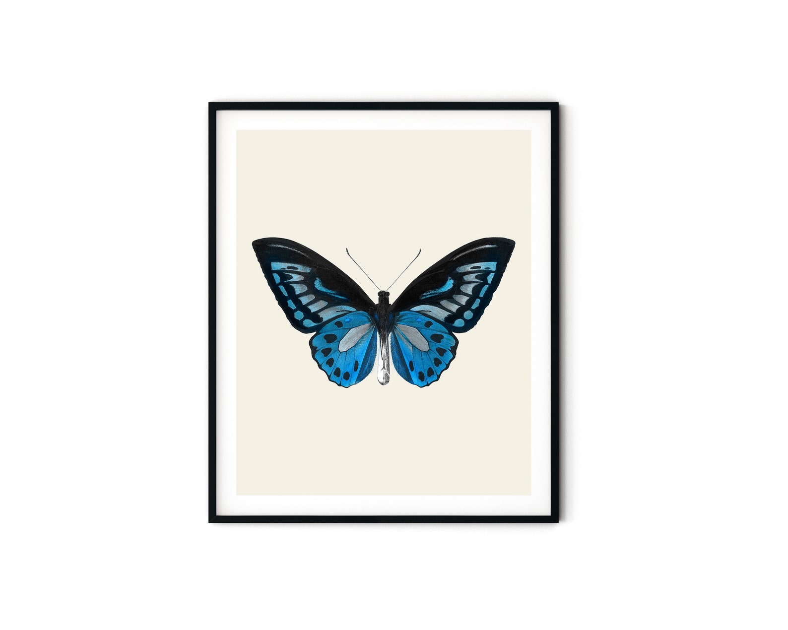 Vintage Blue Butterfly Print Butterfly Wall Art Butterfly Etsy