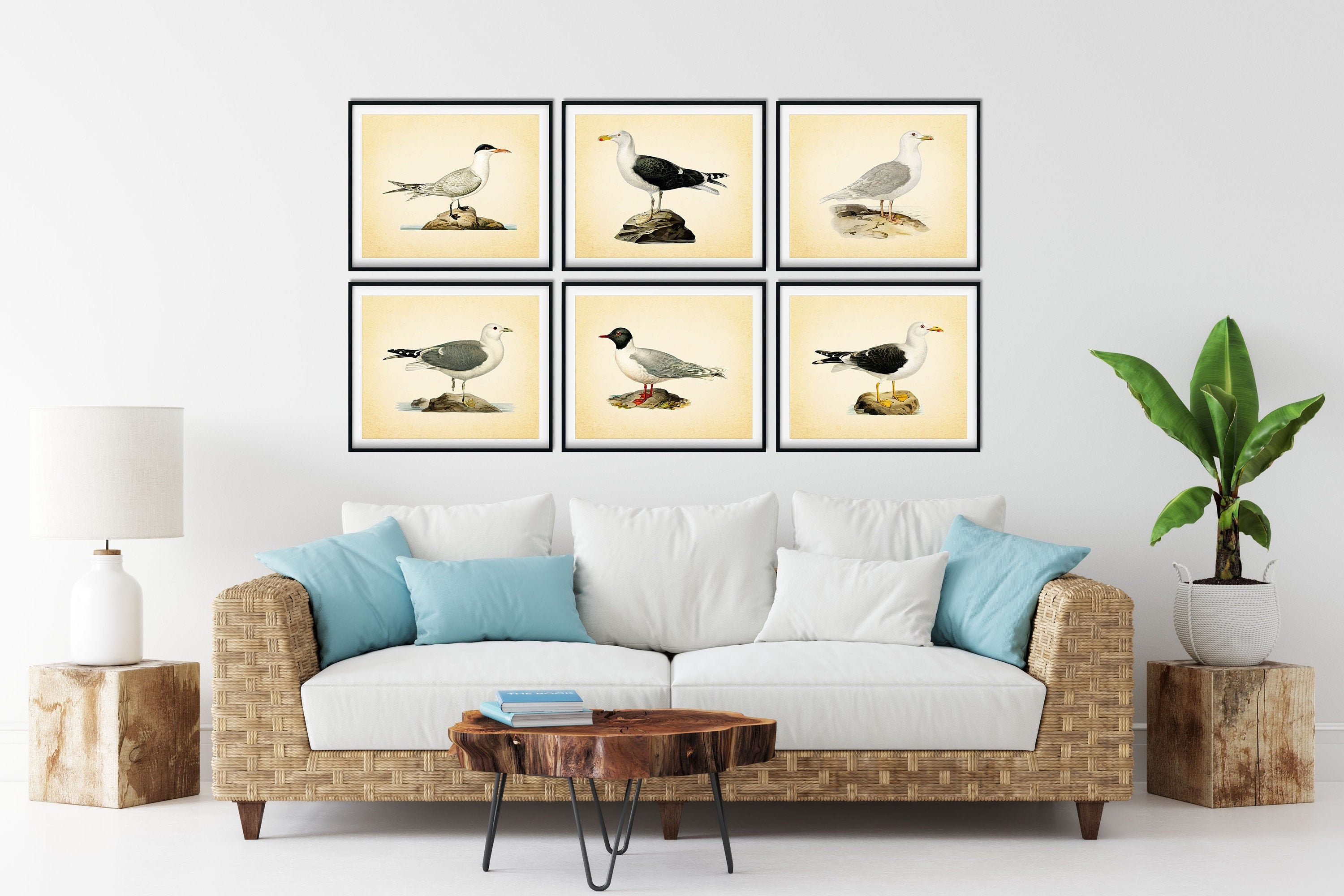 Vintage Sea Bird Print Set of 6 Sea Bird Wall Art Beach Etsy