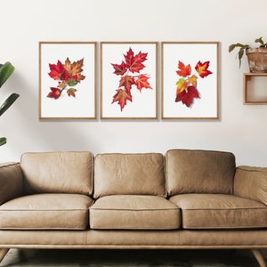 Vintage Maple Leaf Prints Set of 3 - Autumn Home Decor