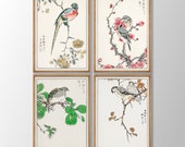 Japanese Bird Print Set of 4 - Vintage Bird Art, Japanese