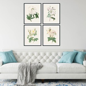May include: Four framed botanical prints featuring white roses and peonies on a white background. The prints are arranged in a grid pattern on a white wall above a white sofa with blue pillows.