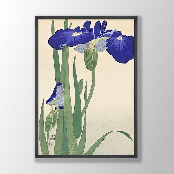 Iris Flower Art - Etsy