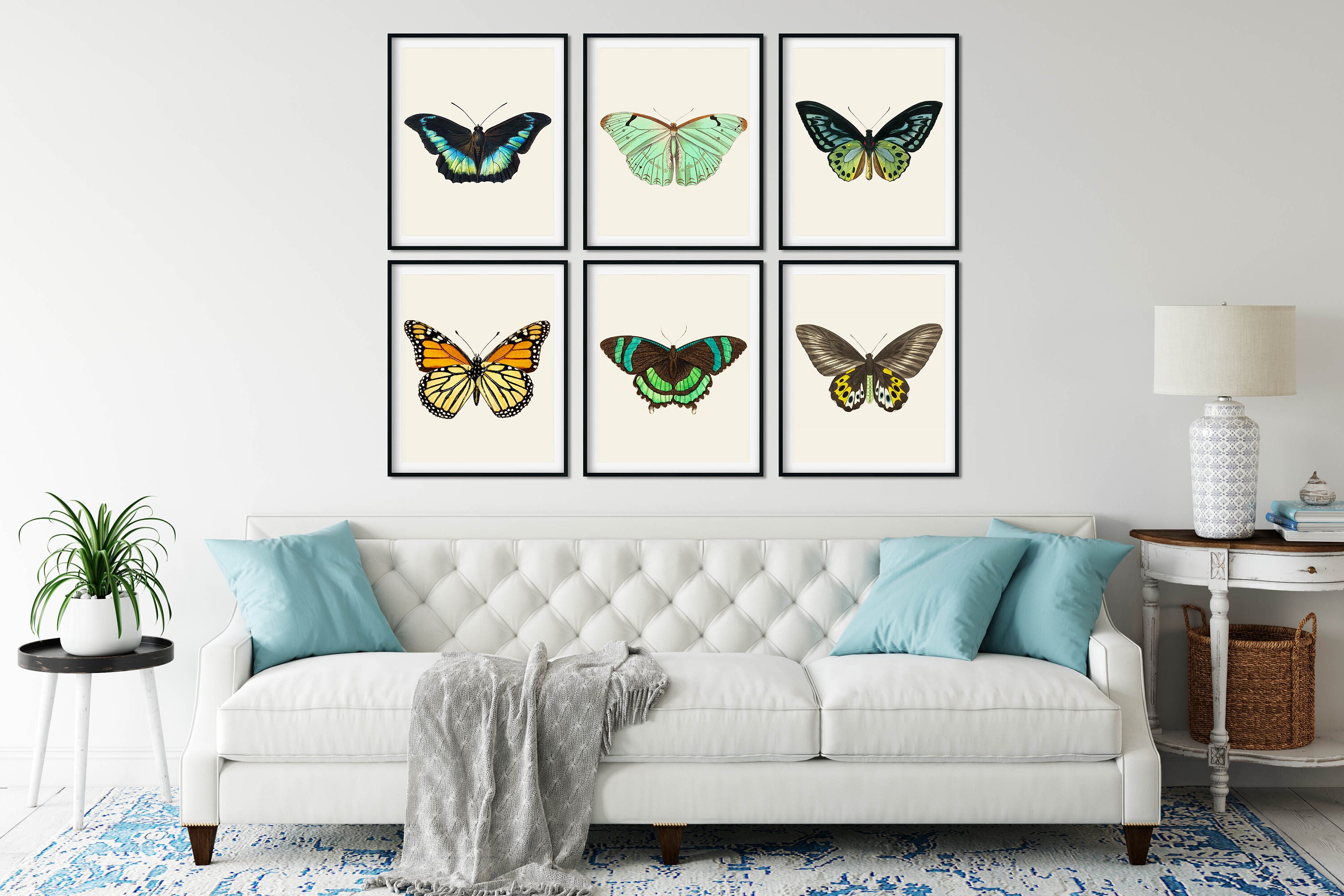 Vintage Butterfly Print Set of 6 Butterfly Wall Art - Etsy