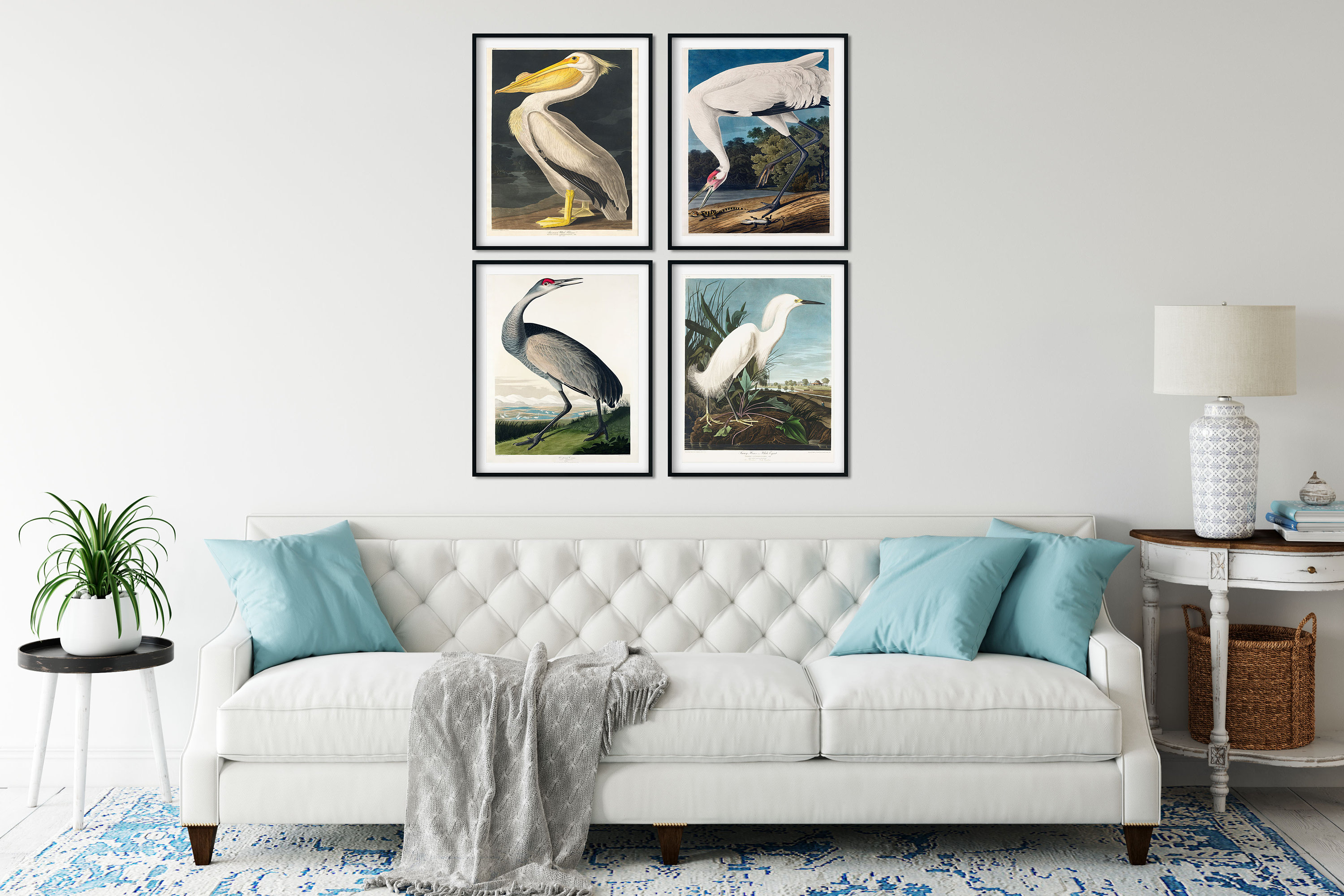 Audubon Birds Print Set: Vintage Tropical Bird Wall Art - Etsy