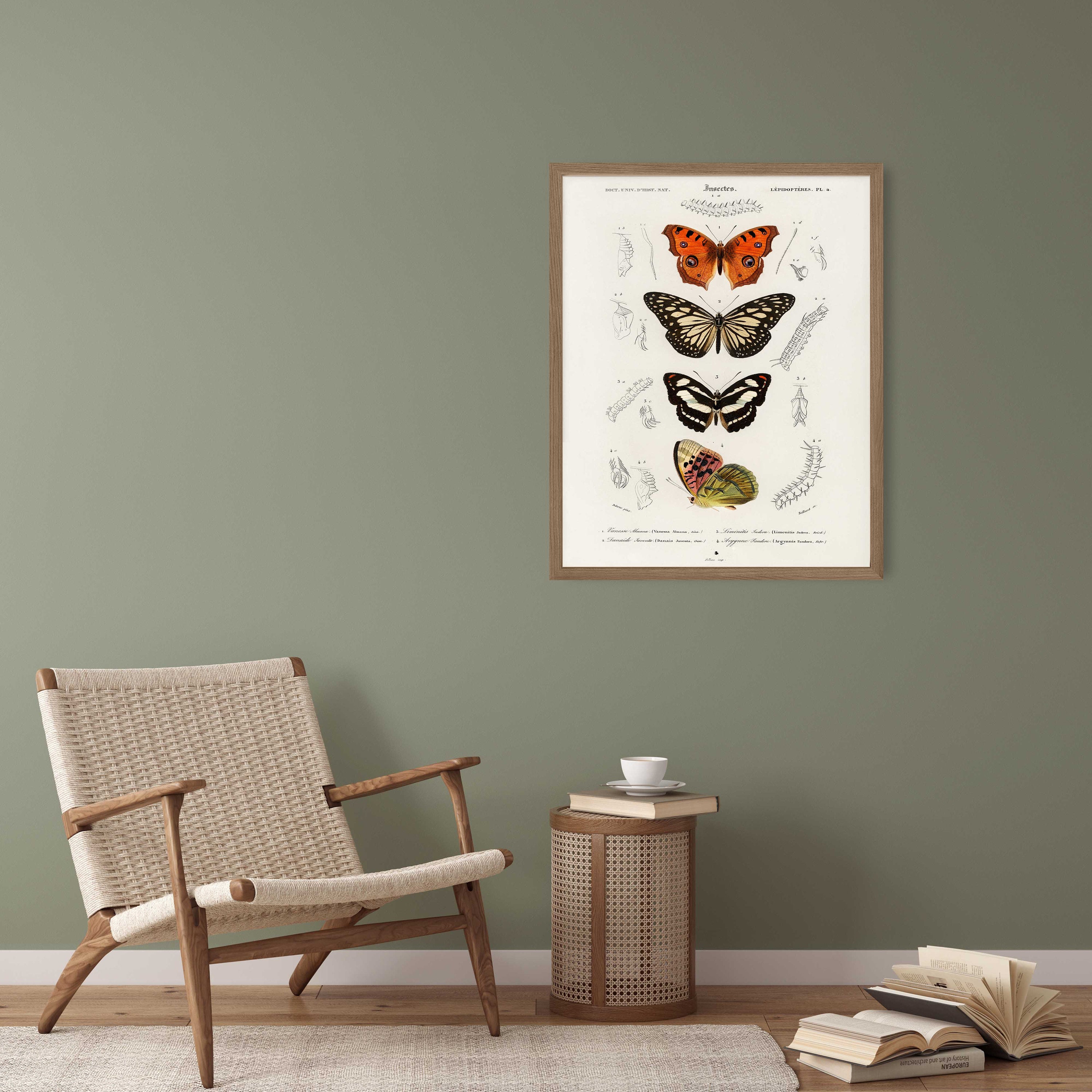 Vintage Butterfly Art Print - Natural History Gallery Wall Decor - Etsy