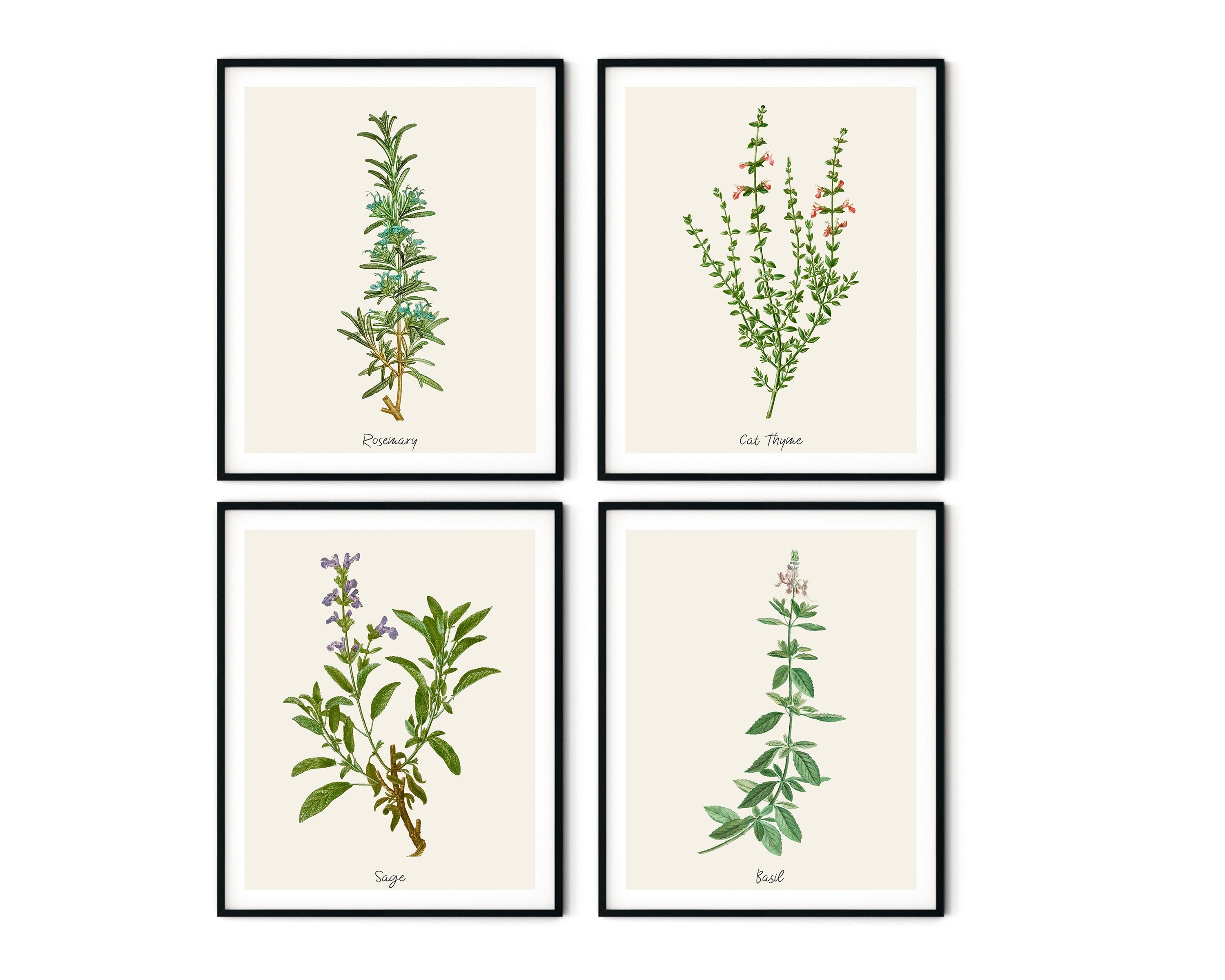 Vintage Kitchen Herbs Prints Set of 4 Farmhouse Kitchen - Etsy