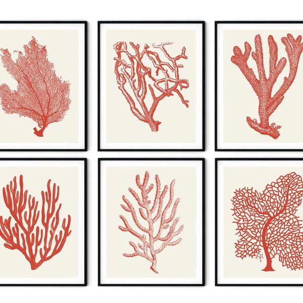 Red Sea Coral Prints Set of 6 - Red Coral Prints, Nautical Art, Beach House Decor, Sea Coral Decor, Coastal Decor, Coastal Art Coastal Print