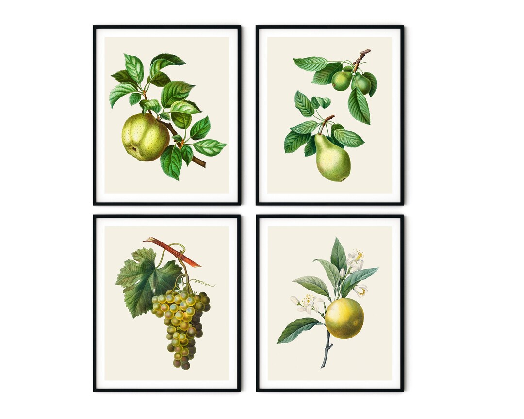 Antique Fruit Prints Set of 4 Fruit Wall Art Kitchen Wall - Etsy