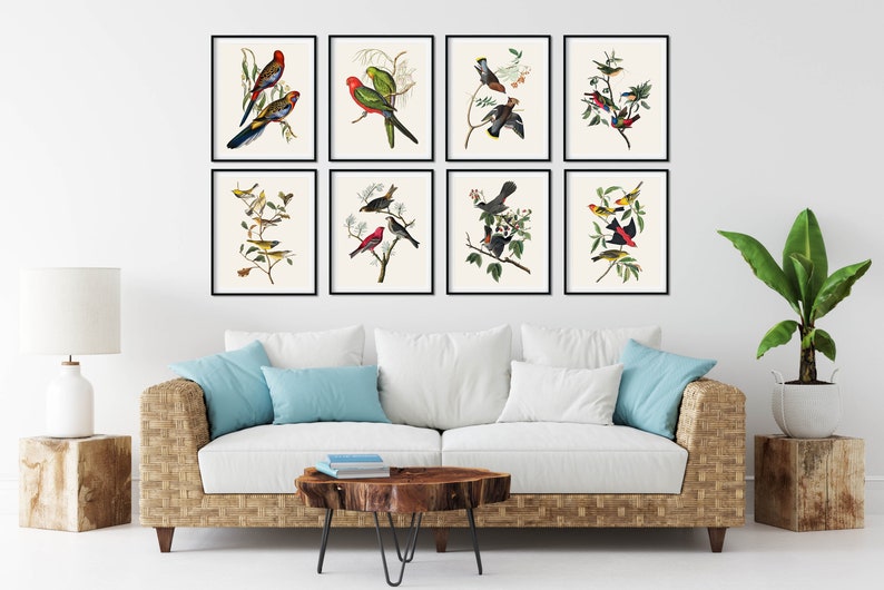Audubon Birds Print Set of 8: Vintage Natural History Wall Art - Etsy