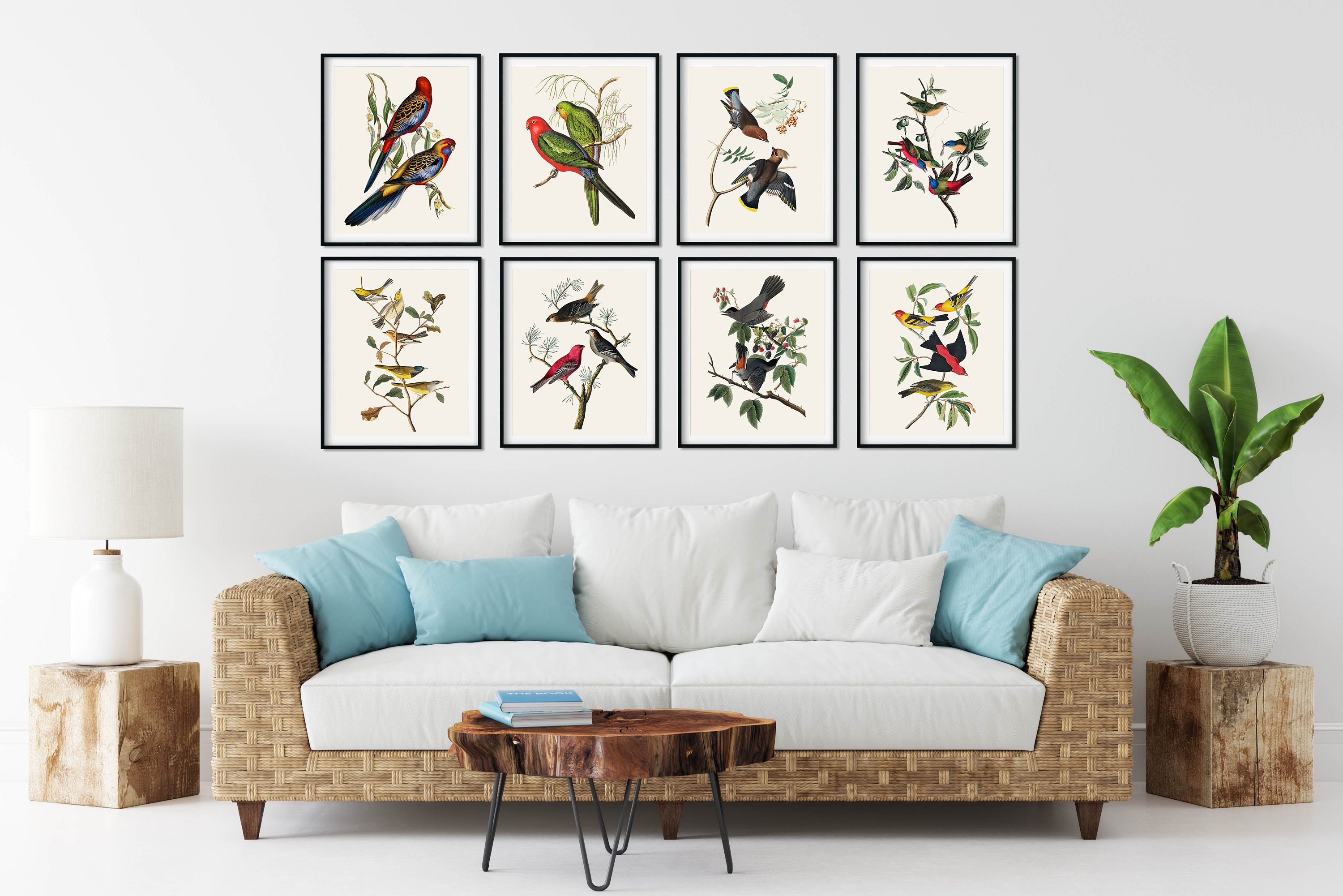Audubon Birds Print Set of 8: Vintage Natural History Wall Art - Etsy