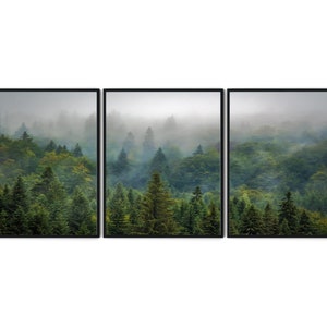 May include: A misty forest scene with tall green trees, a panoramic view of the forest, and a foggy background.