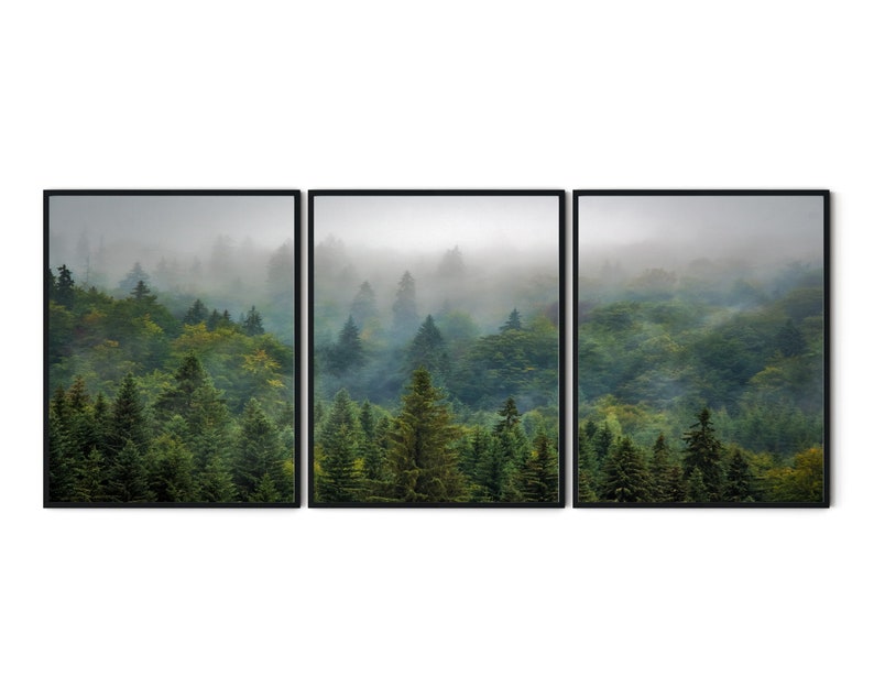 May include: A misty forest scene with tall green trees, a panoramic view of the forest, and a foggy background.