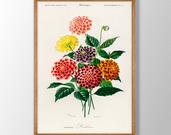 Vintage Dahlia Print - Botanical Flower Wall Art, Kitchen Poster