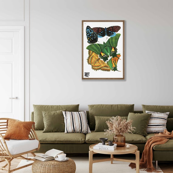 Poster éducatif Vintage A3 – Histoire Naturelle – Nos Bons Papillons – Neuf