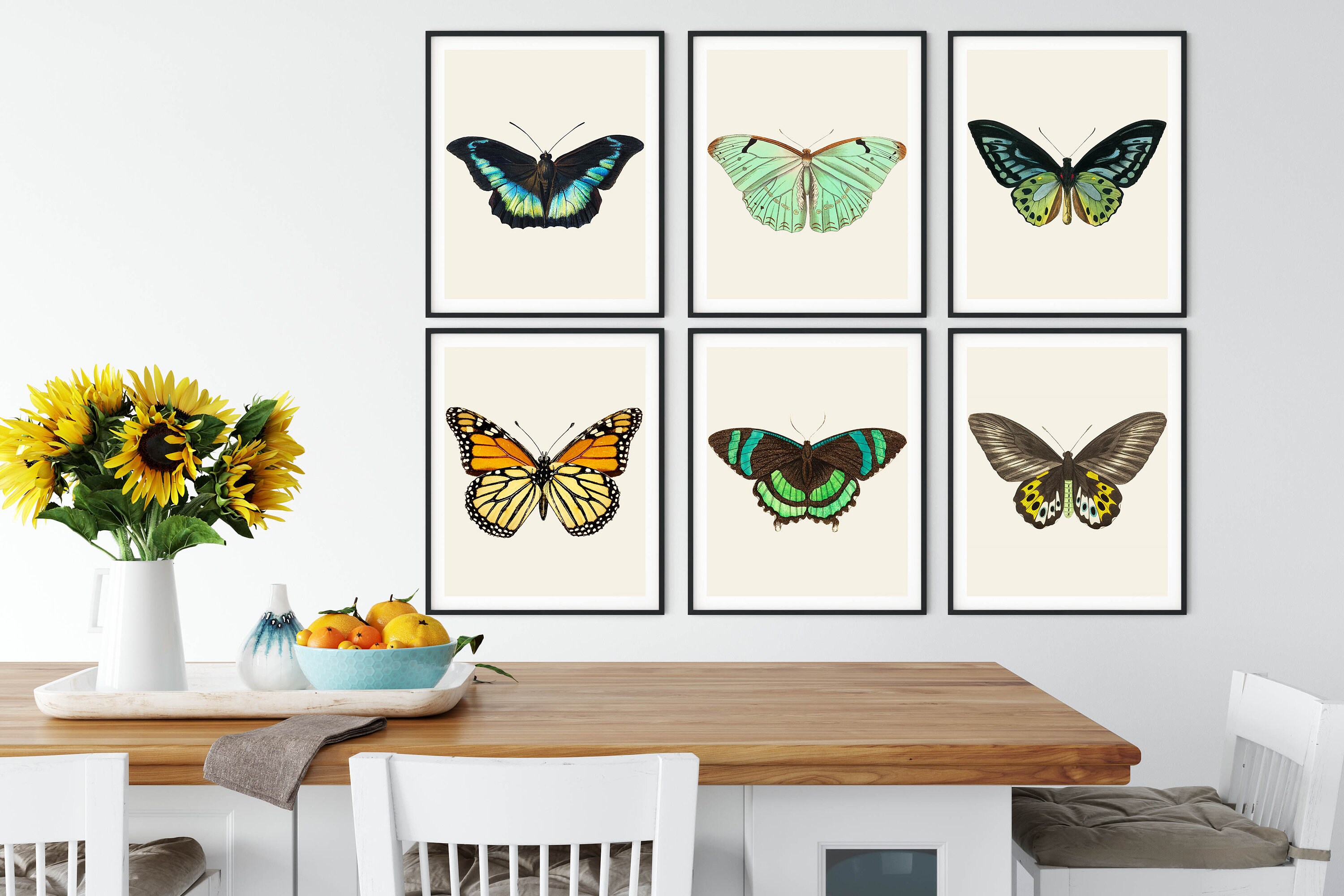 Vintage Butterfly Print Set: Restored Natural History Art - Etsy